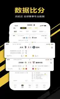 分析师