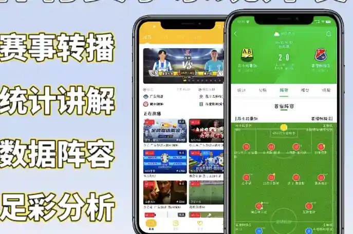 分析师